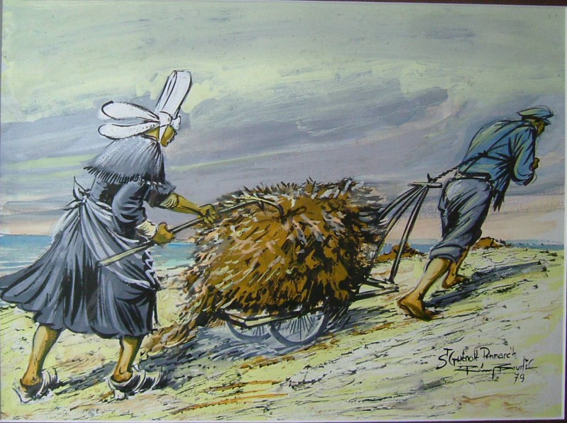 Remy Bourles__Bretagne _   penmach10